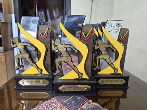 تندیس ورزشی